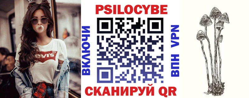 купить  цена  Озёры  Псилоцибиновые грибы Cubensis 